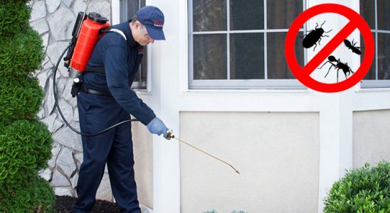 Kargı Bit İlaçlama böcek ilaçlama ve haşere kontrolü — ilaclama-tr.com